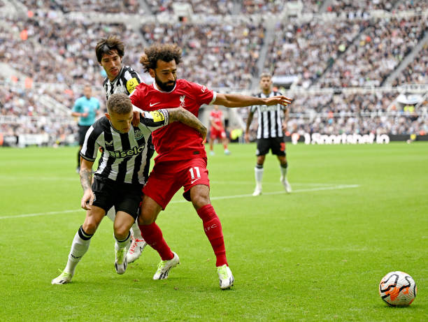 一个追踪凯 一个追踪凯